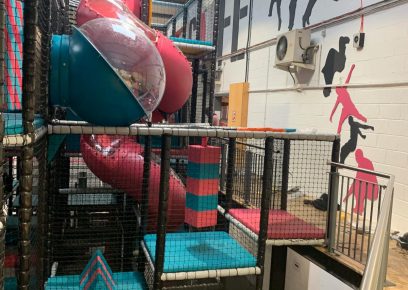 Freedog – Bristol – UK